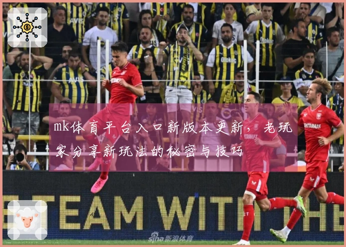mk体育平台入口新版本更新，老玩家分享新玩法的秘密与技巧
