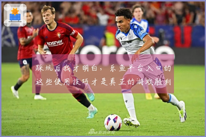 踩坑后我才明白，乐鱼平台入口的这些使用技巧才是真正的游戏胜利关键