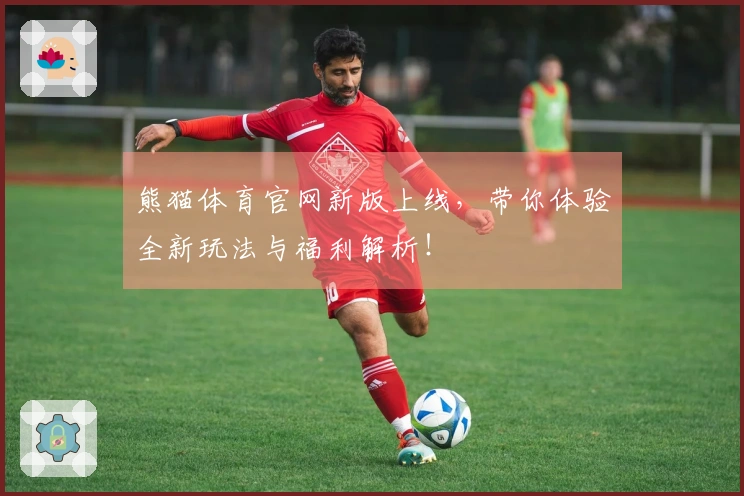 熊猫体育官网新版上线，带你体验全新玩法与福利解析！