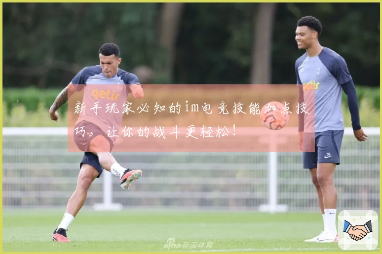 新手玩家必知的im电竞技能加点技巧，让你的战斗更轻松！