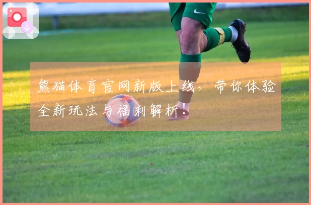 熊猫体育官网新版上线，带你体验全新玩法与福利解析！